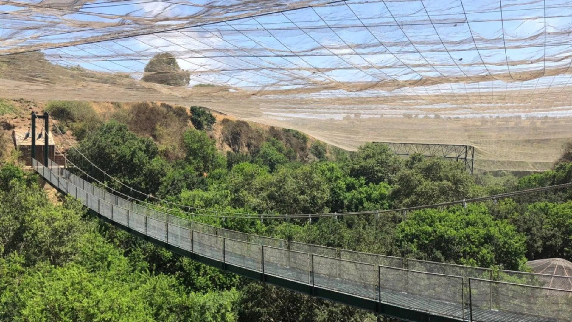 Parque Tricao + Aviario desde Santiago – Naturaleza y Humedal