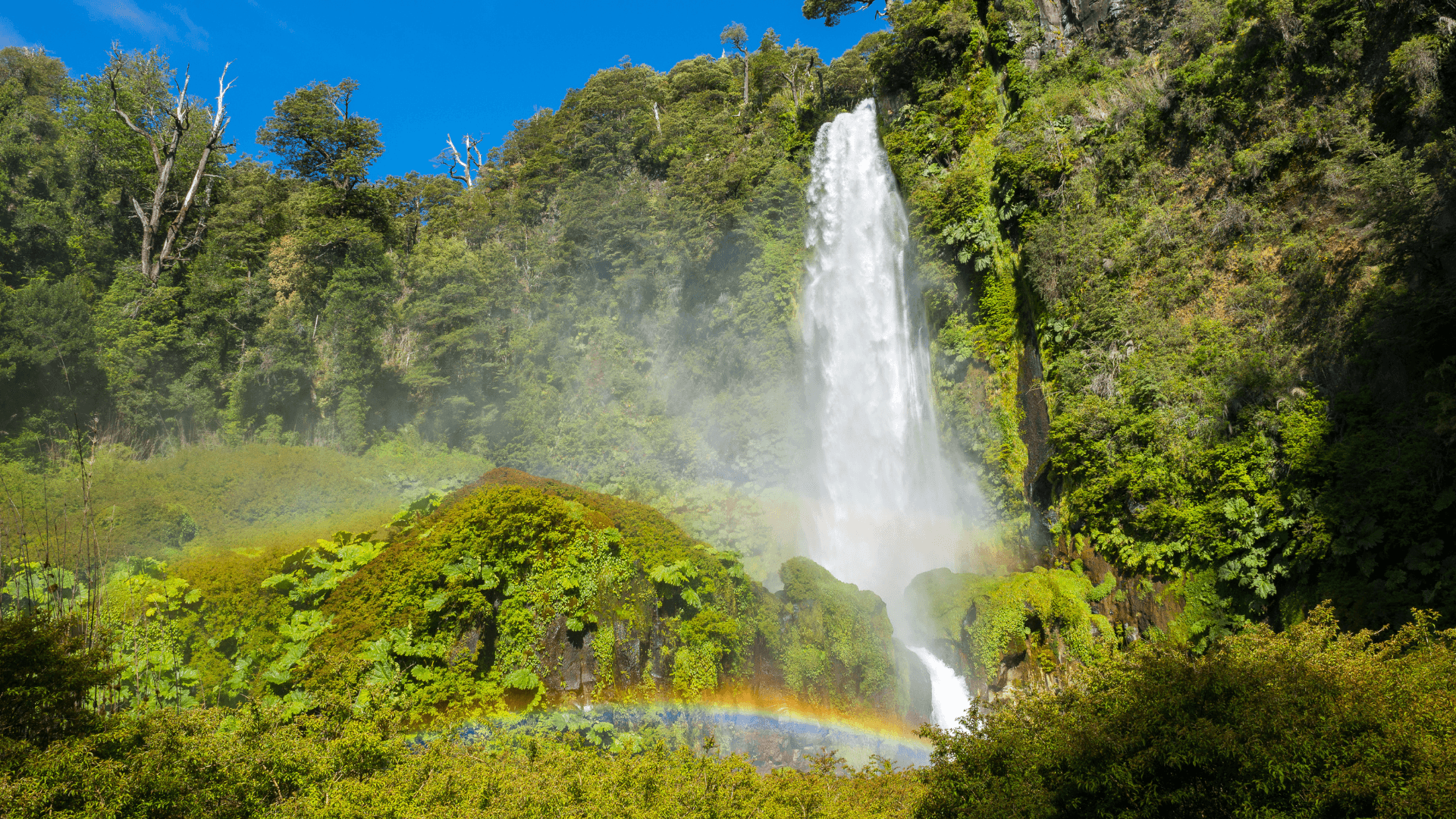 Tour Pucón desde Santiago: Cascadas, Ojos del Caburgua y Termas