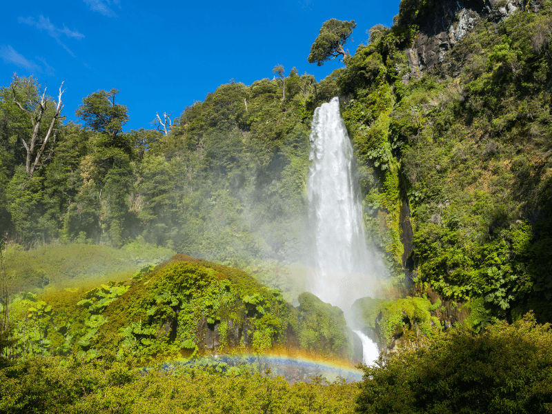 Tour Pucón desde Santiago: Cascadas, Ojos del Caburgua y Termas - Foto de galería 2