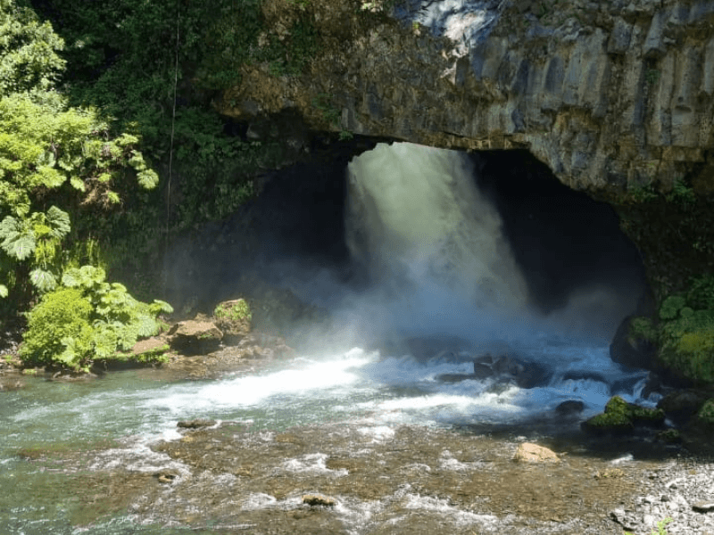 Tour Pucón desde Santiago: Cascadas, Ojos del Caburgua y Termas - Foto de galería 3