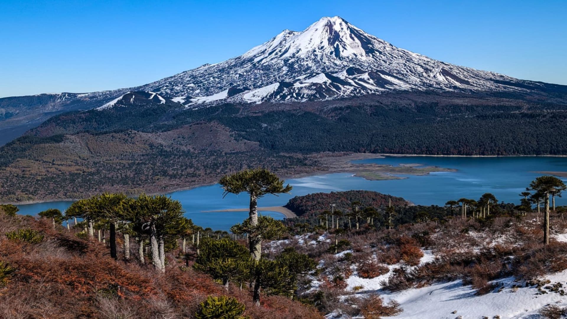 Trekking Sierra Nevada Conguillío desde Santiago 3 días