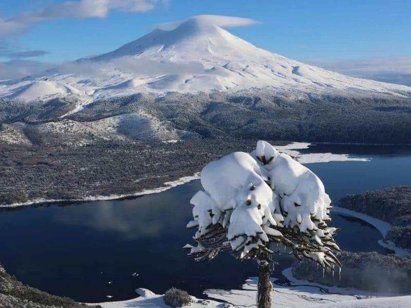 Trekking Sierra Nevada Conguillío desde Santiago 3 días - Foto de galería 2