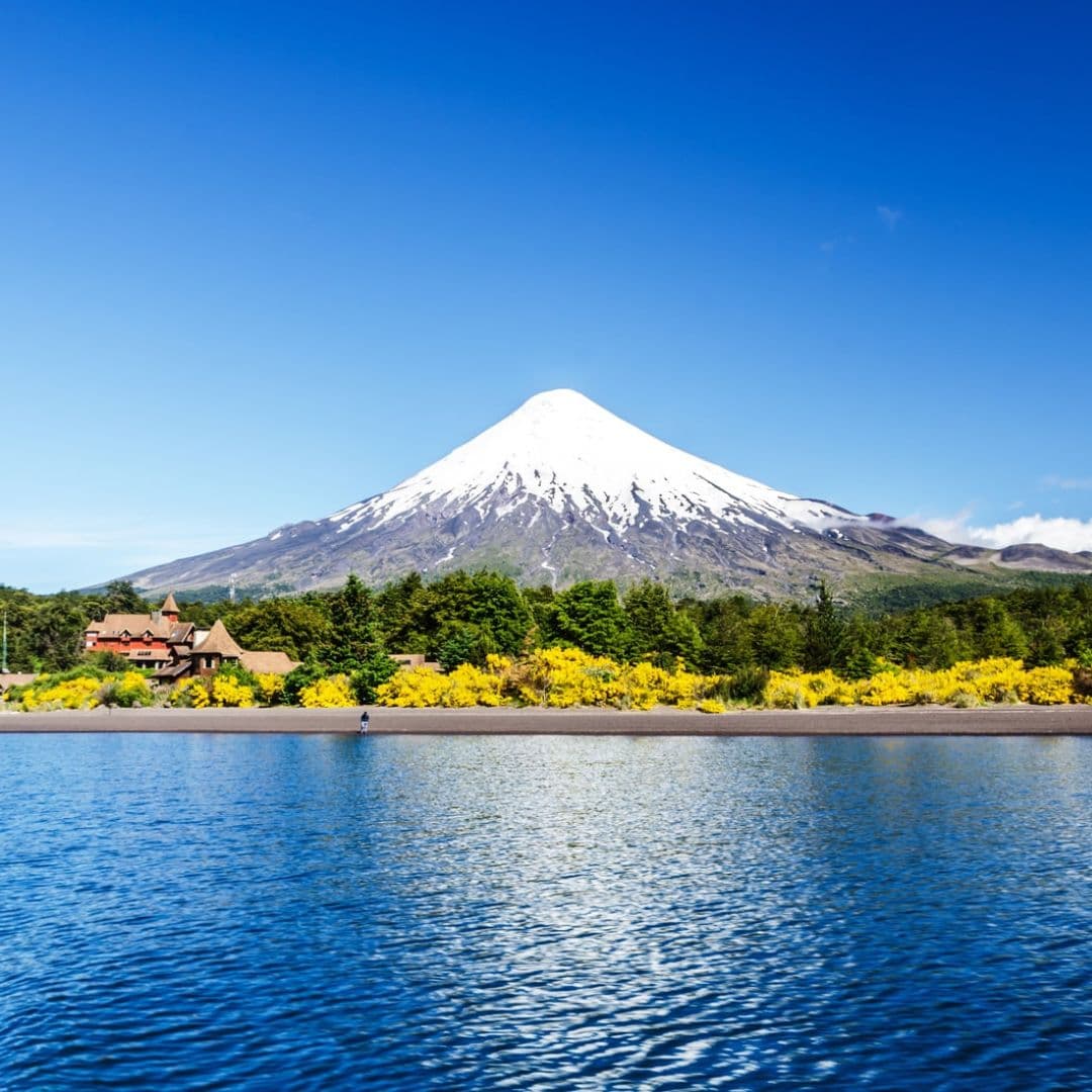 Tour Cochamó y Saltos del Petrohué desde Santiago - Foto de galería 9